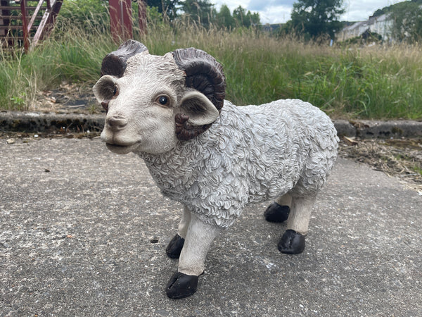 Young Ram Garden Ornament