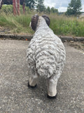 Young Ram Garden Ornament