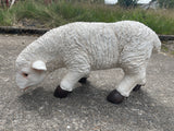 Baby Lamb Grazing Garden Ornament