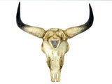 Large Wall Mounted Cow Skull Ornament