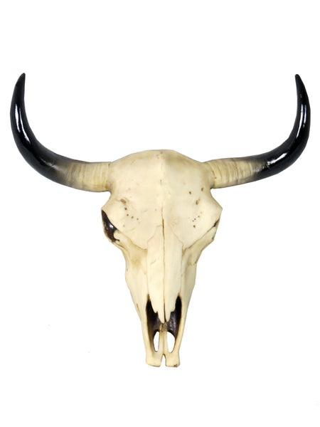 Small Wall Mounted Cow Skull Ornament