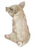 Sitting Baby Pig Ornament
