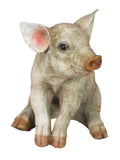 Sitting Baby Pig Ornament