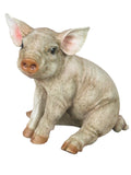 Sitting Baby Pig Ornament