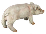 Standing Baby Pig Ornament