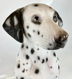 Life Size Realistic Spotted Dalmatian Ornament