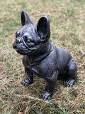 Charcoal Grey Metal Effect Sitting French Bulldog Garden Ornament