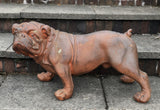 Rusty the Bulldog Garden Ornament