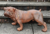 Rusty the Bulldog Garden Ornament