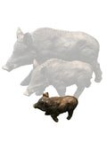 Bronze Effect Small Wild Boar Ornament